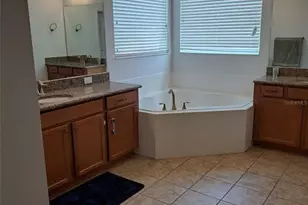 8420 Morehouse Dr, Orlando, FL 32836 - Photo 14