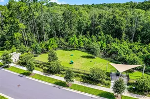 17422 Honeybell Tangelo Ct, Winter Garden, FL 34787 - Photo 40