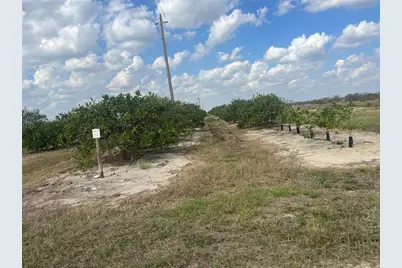 Ne Hwy 70, Arcadia, FL 34266 - Photo 2