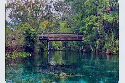 2853 NE 104th Terrace, Silver Springs, FL 34488 - Photo 80