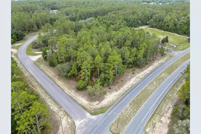 9787 N Citrus Springs Boulevard, Citrus Springs, FL 34434 - Photo 10