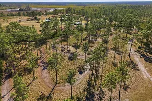 6844 Chad Jason Rd, Saint Cloud, FL 34773 - Photo 58