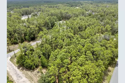 7732 N Udal Drive, Citrus Springs, FL 34434 - Photo 6