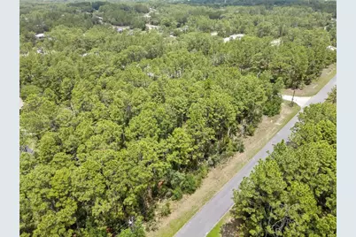 7732 N Udal Drive, Citrus Springs, FL 34434 - Photo 10