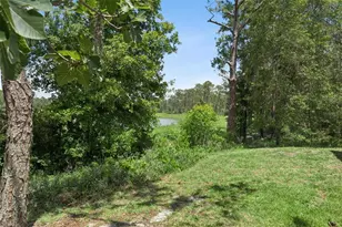 14005 Sparkling Cove Ln, Windermere, FL 34786 - Photo 34