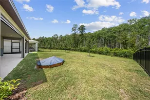 12918 Promise Pl, Orlando, FL 32832 - Photo 2