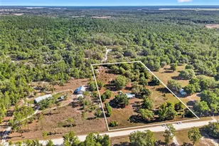 11751 NE 116th St, Archer, FL 32618 - Photo 34