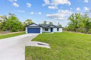 5 Malauka Loop Trk, Ocklawaha, FL 32179 - Photo 2