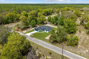 5 Malauka Loop Trk, Ocklawaha, FL 32179 - Photo 46