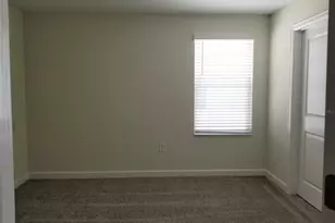 11142 Longleaf Woods Dr, Orlando, FL 32832 - Photo 10