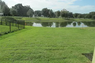 2404 Sabastian St, Mount Dora, FL 32757 - Photo 14