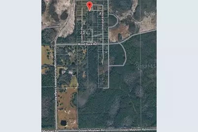 574 Thistle Hill Drive, Osteen, FL 32764 - Photo 2