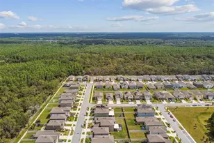 2139 Stellar Brilliance Wy, Lutz, FL 33558 - Photo 8