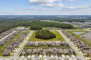 2139 Stellar Brilliance Wy, Lutz, FL 33558 - Photo 6