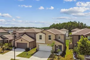 2139 Stellar Brilliance Wy, Lutz, FL 33558 - Photo 86