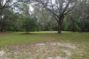 6320 SE 91st Trail, Trenton, FL 32693 - Photo 40