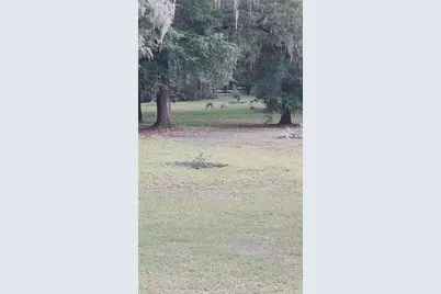 6320 SE 91st Trail, Trenton, FL 32693 - Photo 42