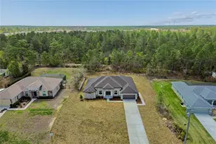 11248 Flock Ave, Weeki Wachee, FL 34613 - Photo 76