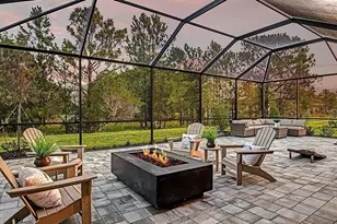 33320 Castaway Loop, Wesley Chapel, FL 33543 - Photo 2