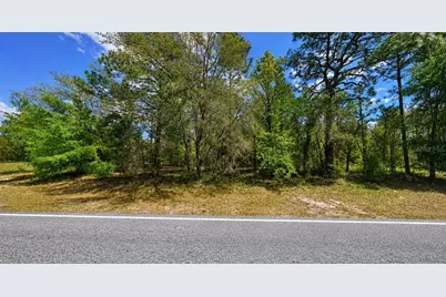 7983 N Santos Drive, Citrus Springs, FL 34434 - Photo 2
