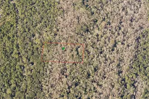 Cape Atlantic Estates Section D, Oak Hill, FL 32759 - Photo 1