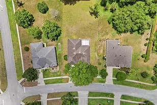 610 Gaelic Ct, Apopka, FL 32712 - Photo 40