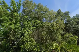 2521 Catfish Ct, Lake Wales, FL 33898 - Photo 1