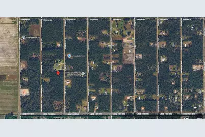 10315 Gregory Avenue, Hastings, FL 32145 - Photo 20