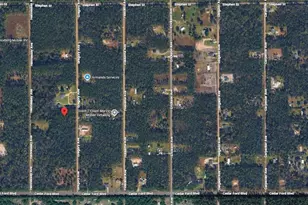 10315 Gregory Ave, Hastings, FL 32145 - Photo 20
