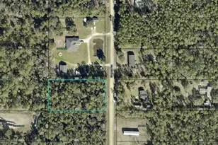 10315 Gregory Ave, Hastings, FL 32145 - Photo 16