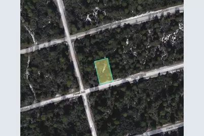 3049 Cedar Hill Avenue, Lake Placid, FL 33852 - Photo 6