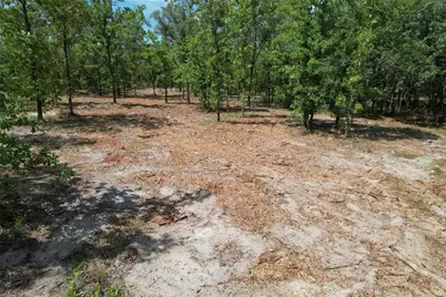 Se 53rd Lane, Morriston, FL 32668 - Photo 2