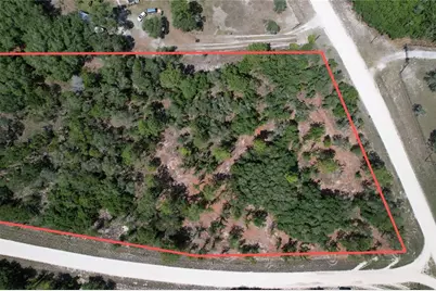 Se 53rd Lane, Morriston, FL 32668 - Photo 8