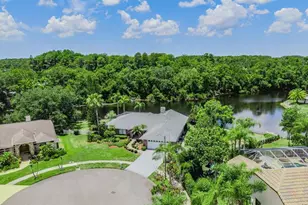 3817 Nicholas Ct, Tarpon Springs, FL 34688 - Photo 4