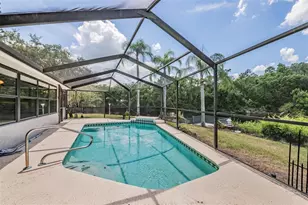 3817 Nicholas Ct, Tarpon Springs, FL 34688 - Photo 42