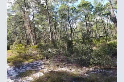 455 Hummingbird Avenue, Sebring, FL 33872 - Photo 6