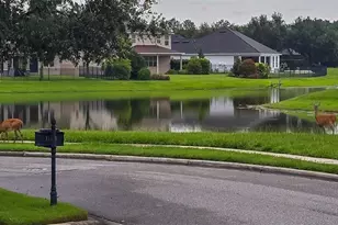 11437 Wakeworth St, Orlando, FL 32836 - Photo 4