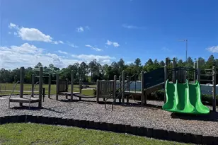 3107 Gardenia Reserve St, Apopka, FL 32712 - Photo 24
