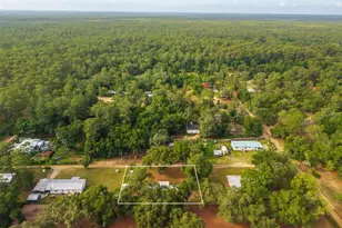 23939 NE 121st Ln, Salt Springs, FL 32134 - Photo 40