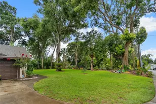 1407 Hempel Ave, Windermere, FL 34786 - Photo 10