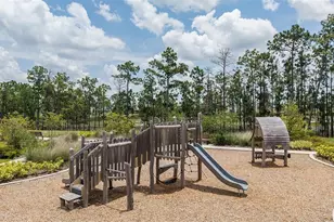 14731 Field Daisy Dr, Winter Garden, FL 34787 - Photo 22
