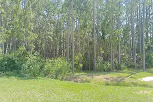 2856 Camden Wy, Davenport, FL 33837 - Photo 44