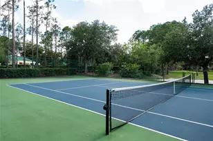 12633 Haddon Dr, Windermere, FL 34786 - Photo 48