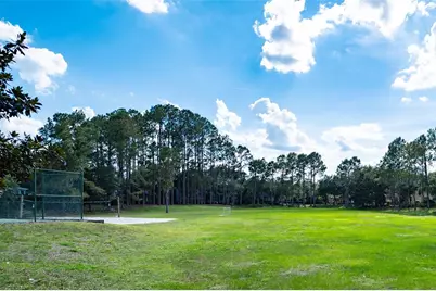 12633 Haddon Drive, Windermere, FL 34786 - Photo 48