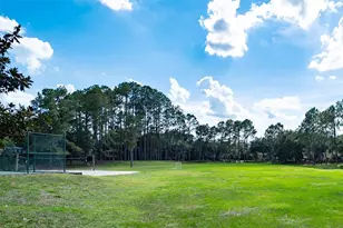 12633 Haddon Dr, Windermere, FL 34786 - Photo 48