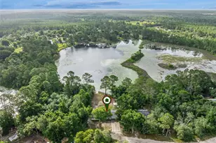 42146 Pine Valley Dr, Paisley, FL 32767 - Photo 50