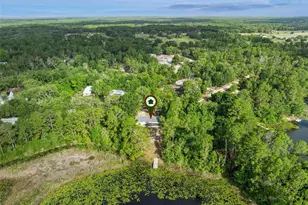 42146 Pine Valley Dr, Paisley, FL 32767 - Photo 48
