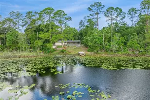 42146 Pine Valley Dr, Paisley, FL 32767 - Photo 44