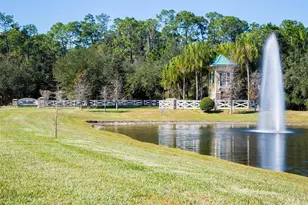 12319 Cruxbury Dr, Windermere, FL 34786 - Photo 50