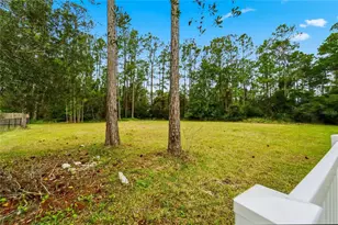 14728 Henson Rd, Orlando, FL 32832 - Photo 30